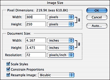 Image Size Dialog Box