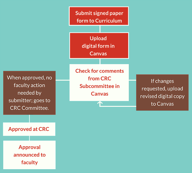 DE Proposal Process as detailed below