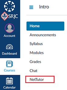 Canvas course navigation with Net Tutor link
