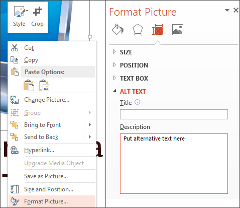 Windows 2013 Choose Format and Format Picture dialogue box