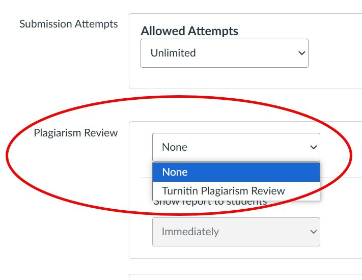 Plagiarism framework setting in a Canvas assignment.