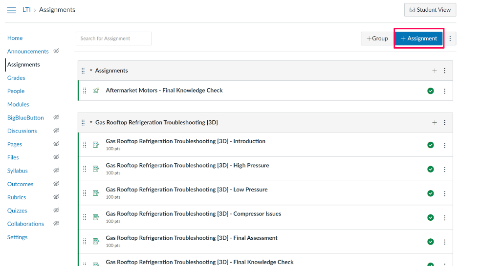A screenshot of the Canvas 'assignments' tab
