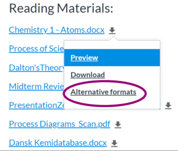 Ally Alternative Formats icons